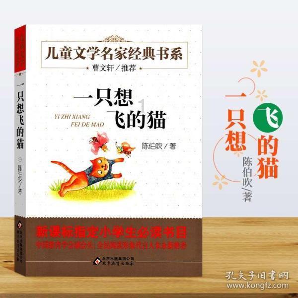 影驰显卡怎么样-一问一答,探索知识的奇妙旅程